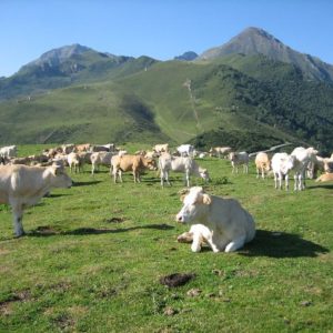 Les Cent Cols