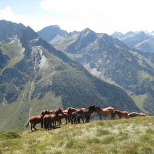 Les Cent Cols