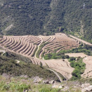 Les Cent Cols