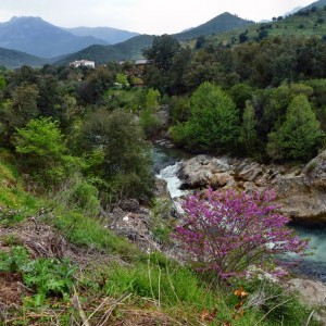 Les Cent Cols