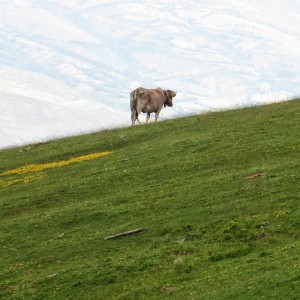 Les Cent Cols