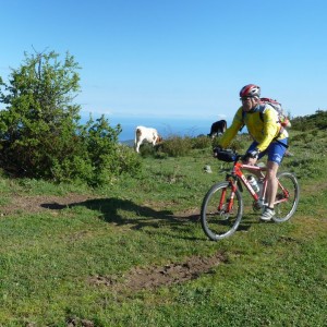 Les Cent Cols