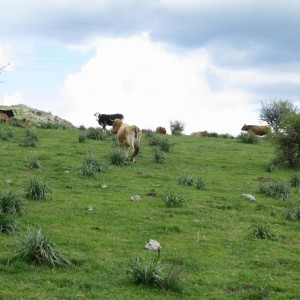 Les Cent Cols