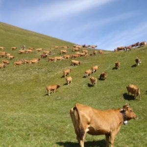 Les Cent Cols