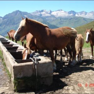 Les Cent Cols