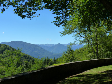 pano