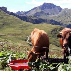 Les Cent Cols