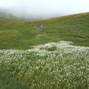 Les Cent Cols