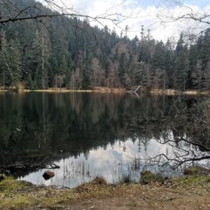 Lac de la Maix V3 (Photo Ch. Badonnel)