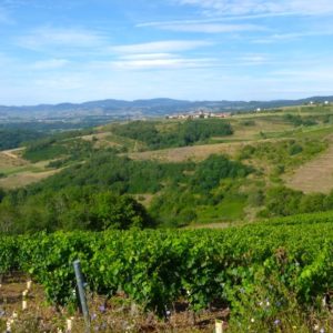 R3 vue sur le haut Beaujolais ©Ph Chazottier
