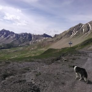 V2 - col du Vallon © Robert Yonnet